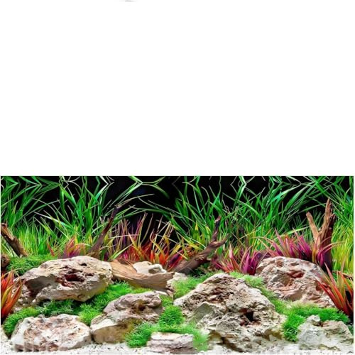 LDIGT 30x60cm Realistic Aquarium Background Sticker, PVC Self-Adhesive Underwater Poster, Waterproof Fish Tank & Reptile Box Wall Decoration Picture
