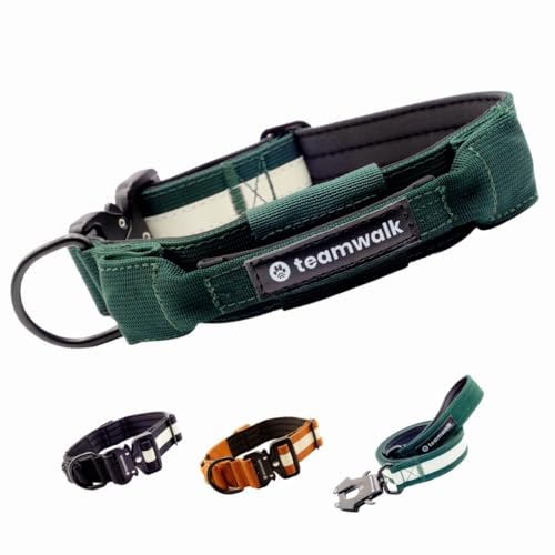 teamwalk® Premium Hundehalsband - mit Magnetgriff, Leuchtstreifen, Air-Tag Tasche, individuell einstellbar, weiche Polsterung, robuste Schnalle, mit passender Leine erhältlich, JETZ NOCH Leichter(L)