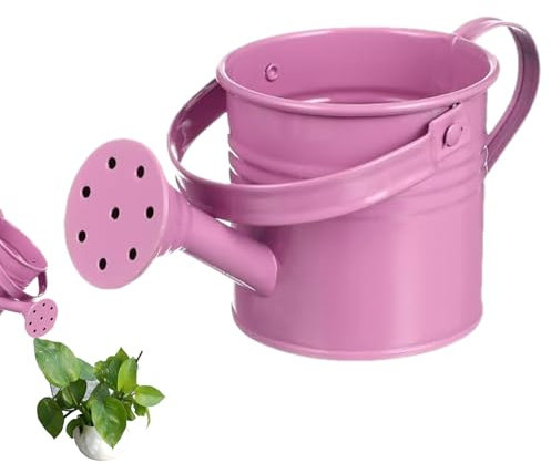 Arrosoir Pot d'arrosage décoratif avec poignée