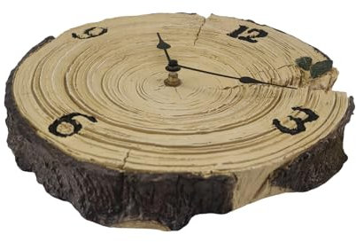 ROYJJ Horloge murale ronde de 25 cm pour l'extérieur, affichage précis de l'heure, design étanche pour cuisine, chambre à coucher, salon, bord de piscine, anneau annuel de 25,4 cm, horloge murale