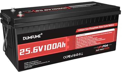 Dumfume 24V 100Ah Lithium Eisenphosphat Batterie, 100A BMS 4000+ Zyklen - Ideal für 24V Solar Speicher, Wohnmobil Ausbau, Solar Inselanlage, Netzunabhängige Anwendungen