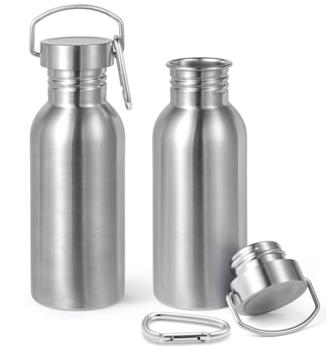 Volhoply 600ml Uninsulated Single Walled Water Bottles 2 Pack, Stainless Steel Reusable Water Bottle with Handle & Carabiner, BPA Free 18/8 304 Sports Water Bottles for Camping Hiking（Silver,2）