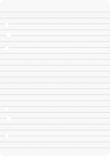 Brunnen 106620101 Ringbucheinlagen A6 (10, 5 x 14, 8 cm), Liniert, 50 Blatt, 70 g/m²)