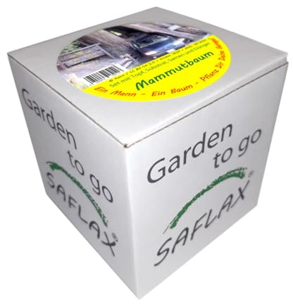 Saflax 19211 Garden to Go Sequoia Tree