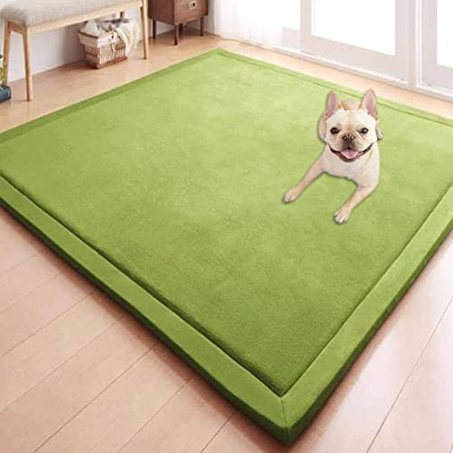 GGoty Korallensamt-Teppich, Baby-Spielmatte für den Boden, rutschfest, Krabbelmatte, großer Teppich für Kinderzimmer, Baby-Haustier, Schlafzimmer, Wohnzimmer (150 x 50 cm, grün)