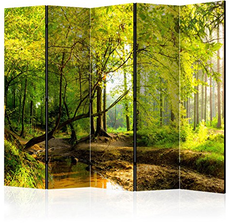 murando - Paravent Raumteiler Natur, 225x172 cm, 5-teilig, Wohnzimmer, Büro | Mobiler Sichtschutz, sofort einsatzbereit, Holzrahmen, ideal fürs Wohnzimmer oder Büro, geruchsneutral, lichtbeständig