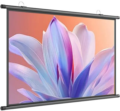 Ecran Videoprojecteur, Écran De Projection 60 Manuel Enroulable, TV Et Home Cinema Toile pour Cinéma Maison Bureau Voyage, Ecran De Projection Portable Format 16:9/4:3, Fixation Par Crochets(16:9,30