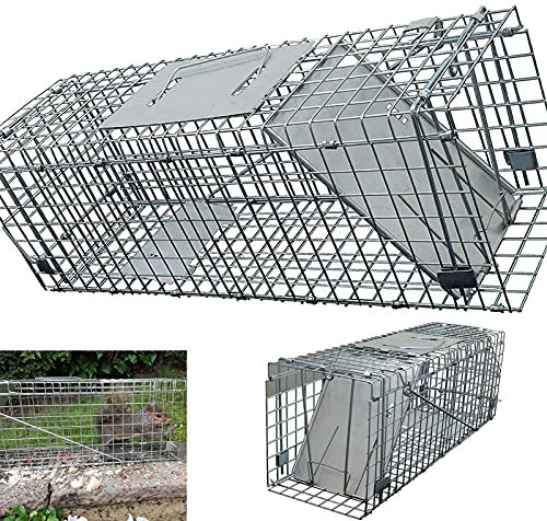 Large Metal Rat Cage Trap For Catching UK Grey Squirrels & Small Wildlife, Humane Rodent Live-Catch Trap, No Kill, Long Lasting Reliable Reusable, Use Indoors and Outdoors & in Gardens, 61x19x21cm