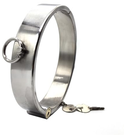 Soarvlorfy Edelstahl SM Sex Halsbänder Halsfessel O-Ring, Abschließbar Halsreif Sklave Hals Kragen Metall Halsband Cosplay Sklaven Folter Fetisch Erwachsene Spiel für Männer Frauen,Silber,Ø 13.7cm
