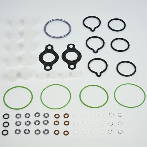 Universal Common Rail Bosch CP1 Diesel Bomba de Alta Presión Sellos Kit Reparación de Fugas