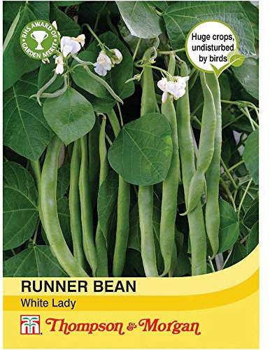 Thompson & Morgan - Vegetables - Runner Bean White Lady - 30 Seed