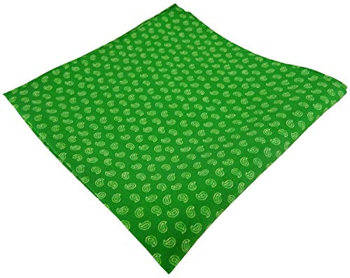 TigerTie Pañuelo de seda en verdeverde claro paisley modelada - Pochette paño 100% de seda