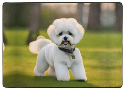 Ogniwo Weicher Teppich für Schlafzimmer, 12,7 x 20,3 cm, großer rutschfester Teppich, Heimdekoration, Bettvorleger für Wohnzimmer, Bichon Frisé-Hund auf dem Gras