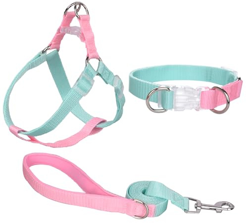 AIITLE Verbessertes Step-in-Hundehalftergeschirr & Leine & Halsband - Leichtes Hundegeschirr mit Doppel-D-Ring - für extra kleine Hunde, tägliches Spazierengehen, Grün-Rosa, XS