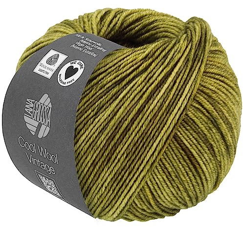 LANA GROSSA Cool Wool Vintage | Merinoklassiker mit Ton-in-Ton Farbeffekt | Handstrickgarn aus 100% Schurwolle (Merino extrafein) | 50g Wolle zum Stricken & Häkeln | 160m Garn FB 7361