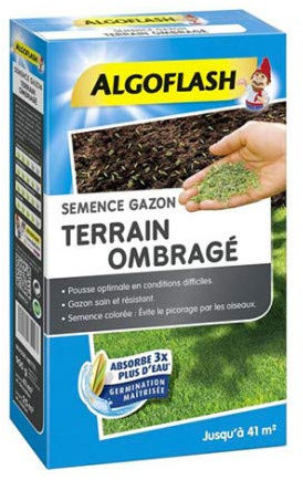 Algoflash Semence gazon terrain ombragé 900 g