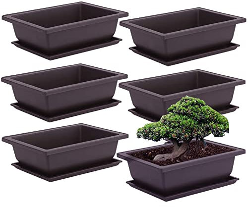 6 stycken bonsai träningskrukor med bricka, bonsaiskål med underlägg, blomkruka suckulenter krukväxter blomkruka kvadratisk bonsaiskålar krukor för trädgård, vardagsrum och kontor (L)