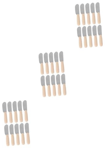 Cabilock 30pièces Set De Couteaux à Beurre Acier Inoxydable Avec Poignée Ergonomique Pour Tartiner Pour Cuisine Pâtisserie