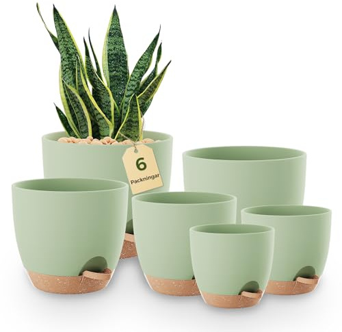 Bamworld Macetas Autorriego de Interior, Tiesto de Plástico con Base Integrada, Pack de 6 (20/18/17/15/14/13 cm), para Cocina, Balcón, Jardín y Vivero Interior macetas Verde