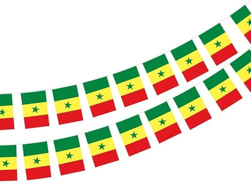 Pandiui23 Drapeau Sénégal 40 pièces Drapeau Sénégal Guirlande Sénégal 11.4M Fanions Sénégal, drapeau national 14x21cm pour décorations de bar