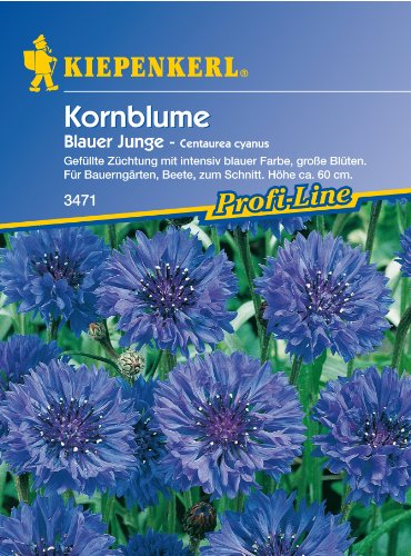 Sperli 3471 Blumensamen Kornblume blauer Junge, grün