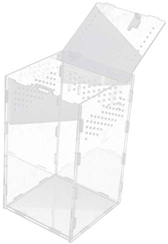 Backbayia transparente Glasbecken Spinnen Terrarium Reproduktionsbox für Schlangen, Eidechse, Schildkröte, Reptilien