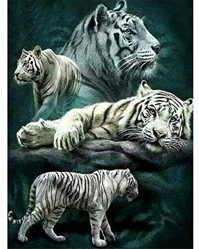 Yingxin34 Puzzle 5000 Teile Vier Tiger, Farbenfrohes Puzzle für Erwachsene und Kinder ab 14 Jahren Klassische Puzzles Geschicklichkeitsspiel für die ganze Familie-61.61x41.53 Zoll (156.5 x 105.5cm)
