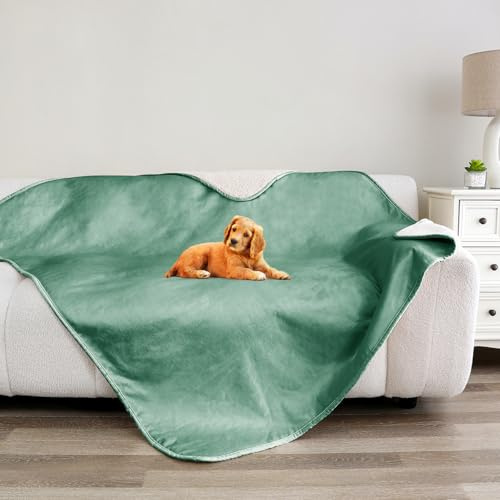 Bigbeer Katzendecke, wasserdichte Hundedecken für kleine Hunde, waschbar, Sherpa-Überwurfschutz für Bett, Couch, Sofa, Möbel, wendbar (127 x 152,4 cm, XL, Grün)