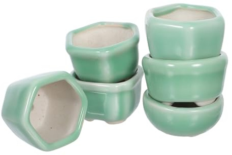 JOINPAYA 6 Piezas Mini macetas de propagación macetas pequeñas Arcilla Morada Verde
