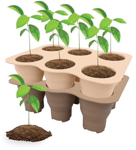 Holzsammlung 2 Piezas Bandejas Semilleros de Germinacion, 12 Células Silicona Reutilizar Bandejas de Germinación para Invernaderos, Semillero Bandeja Invernadero Interio para Plantas en Crecimiento