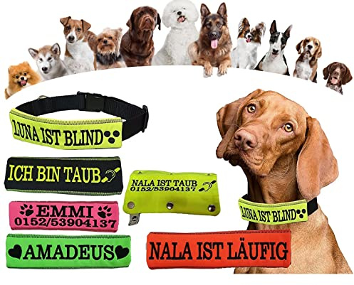Hundehalsband Manschette Hunde mit/ohne Halsband Wunschname Softshell neon gelb pink orange grün schwarz Name Wunschtext Telefonnummer Handikap blind taub läufig Angstbeißer nicht füttern