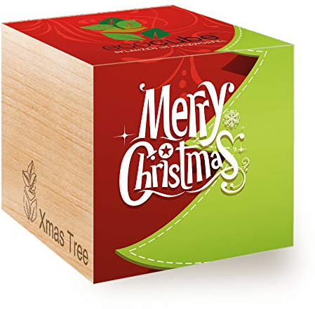 Feel Green Ecocube Merry Christmas/1R, Albero di Natale, Idea Regalo sostenibile (100% Eco Friendly), Grow Your Own/Set di Coltivazione, Piante nel Dado di Legno, Made in Austria
