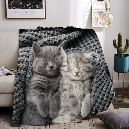 BNREDA Decke mit Katzenmotiv, Süße Tiermotiv Flauschige Flanell Fleecedecke, Couchdecke Wohndecke für Kinder und Erwachsene (Katzen-2, 150x200cm)