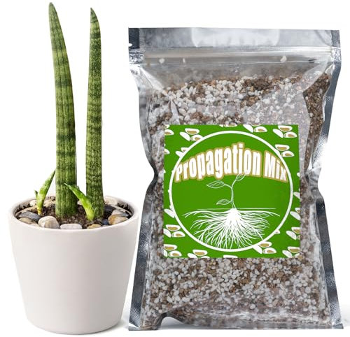 Plant Propagation Potting Mix 1L, Suitable for Rooting Plant Cuttings, Enhances Rooting by Providing Optimal Aeration and Drainage