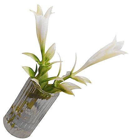 YARNOW Giglio in Miniatura Decorazione Floreale in Miniatura Minuscolo Resina Selezionata Non Si Deforma o Si Facilmente