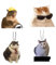 4 Pack Funny Cat Air Freshener Car for Cat Lovers Novelty Air Freshener for Wardrobe Bathroom Hanging Scent Tablets Decor 55×105mm
