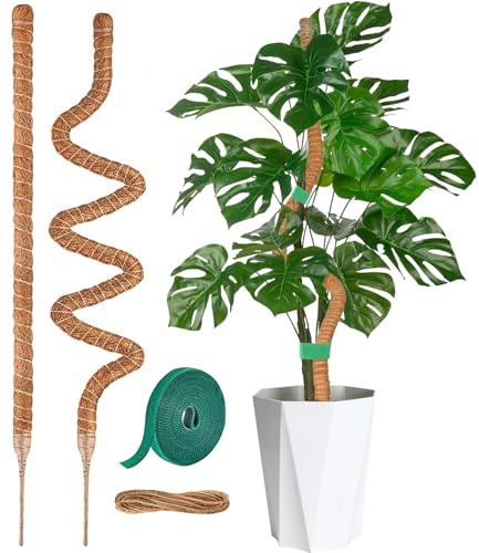 Anllecr Monstera Perche en mousse pliable de 71,1 cm et 119,4 cm pour plantes grimpantes d'intérieur et d'extérieur | Support pour plantes en pot comme les pothos, les philodendrons