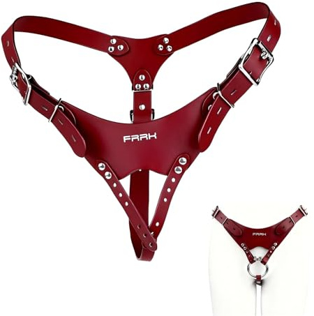 Cage de Chasteté Pénis en Acier Inoxydable Chastity Cage Man avec Serrure Dissimulée et Cathéter en Silicone Sex Toýs Homme Cage Chastetée et Ceinture de Chasteté pour Bondage le Pénis (Red)