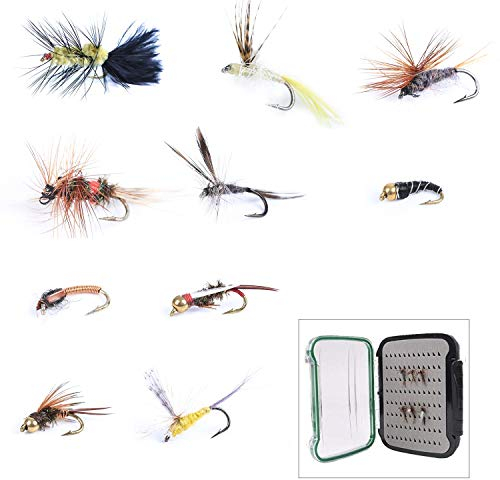 MAXIMUMCATCH Fliegenfischen 10 Stücks Fliegen mit Fliegenbox Nass und Trocken Fliegen, Nymphen Streamer Kunstköder Fliegen NDS B Box
