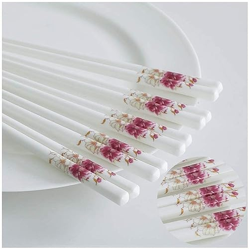 palillos chinos acero inoxidable palillos coreanos Palillos, 10 pares de palillos chinos reutilizables de cerámica, juego de regalo de palillos de porcelana blanca(Color:10,Size:)