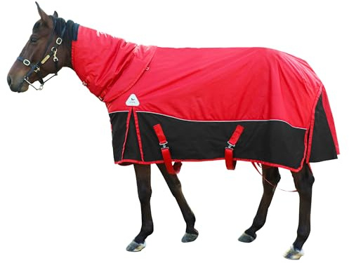 Pferdepflegedecke, Winter, 1800D, Premium-Pferdedecke, mittelschwer, wasserdichte Decke mit Weidehalsbezug, abnehmbar (Größe 145 cm)