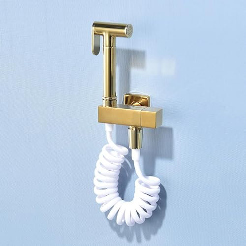 FQCXCKJ Douchette de Toilette portative, pulvérisateur de Bidet de Toilette, Pistolet de pulvérisation de Chasse d'eau, Pistolet à Eau rehausseur de Compagnon de Toilette entièrement en cuivre (B)