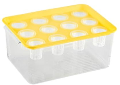 Caja de cultivo hidropónico, sistema hidropónico con 12 agujeros, tanque de escritorio resistente al desgaste para verduras y flores, maceta de jardinería en el hogar (amarillo)