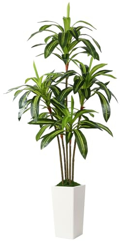Alupssuc 6FT Artificial Dracaena Tree with White Tall Pot, Lifelike 5 Trunks Faux Artificial Plants Indoor, Large Fake Tree for Office Home Living Room Porch Patio Floor Decoration