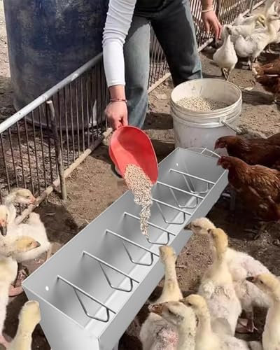 Elitix Schweinetrog Großer Futtertrog für Hühner, Enten und Schweine Freistehender Geflügelfuttertrog Als Ergänzungsfutter Geflügelbehälter für Schweine, Kein Abfall(59/5ft/8bit)