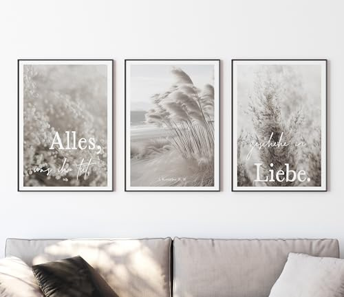 timalo SALT-AND-LIGHT® Christliche Wandbilder Bibelverse Deutsch Poster 3 Stück im 3er Set Wanddeko Wohnzimmer Deko Schlafzimmer | Jahreslosung 2024 | 70x50cm