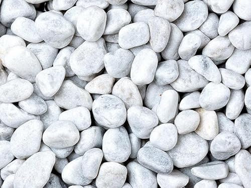 Geosism & Nature Ciottoli, Sassi per Giardino, Bianco Carrara 25-40 mm (1200 kg)