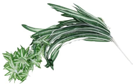 Ciieeo Handgefertigte Künstliche Grünlilie Künstliches Chlorophytum für Die Heimdekoration.