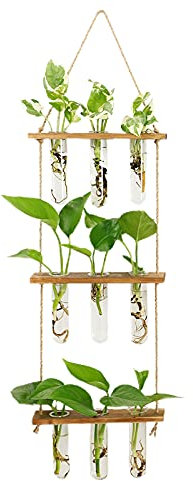 BELUAPI 3 Tiered Wall Hanging Glass Planter,Mini Test Tube Plant Terrarium with Wooden Stand, Glass Planter Test Tube Vase for Propagation Hydroponics Plants Cuttings Home Office Decoration