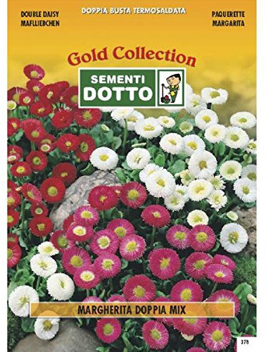 Sementi Dotto Semi di Margherita Doppia in Mix - h cm 15